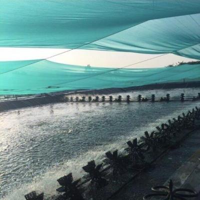 mở rộng 1 - không xài