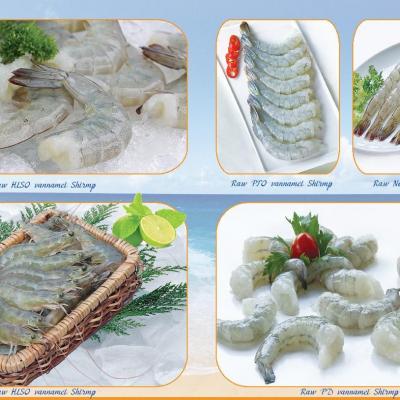 mở rộng 1 - không xài